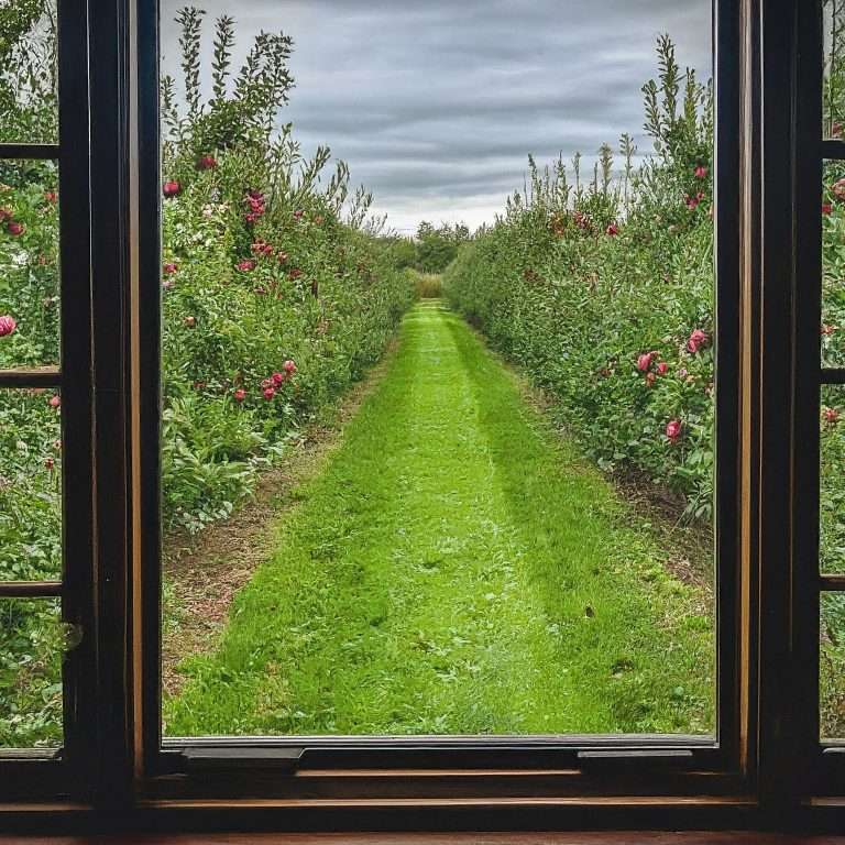 mcintosh apples and dundela and duxton windows